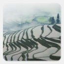 Recherche de champ agricole autocollants Paysage