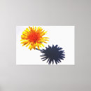 Search for dandelion canvas prints White