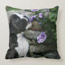 Recherche de canin coussins Position