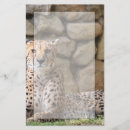 Search for wildlife stationery paper Cheetah