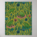Search for frog posters Nature