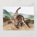 Recherche de var cartes postales Faune