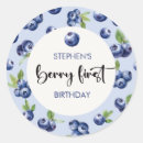 Search for cute blueberries stickers Watercolor