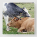 Recherche de vache brune horloges Pays