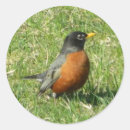 Search for bird scrapbook stickers Children