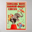 Search for circus act Acrobatic