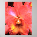 Recherche de copies de toile posters Peinture