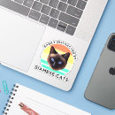 Search for siamese cases Vintage