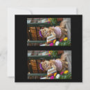 Recherche de librairie vœux cartes Chat