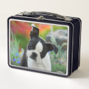 Recherche de photo box Pour elle