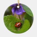 Search for violet flower ornaments Viola