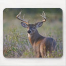 Recherche de virginie tapis souris Cerf de virginie