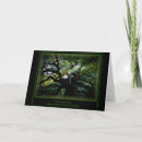 Search for angel oak tree Photography