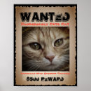 Search for funny cat pictures posters Kitten
