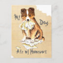 Search for shetland sheepdog postcards Miniature collie