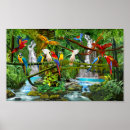 Recherche de paradis de cascade posters Jungle