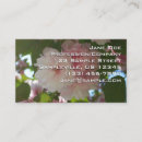 Recherche de cherry cartes visite Fleurs de cerisier