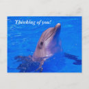 Search for dolphin design postcards Fish