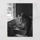Search for sinks postcards Animals