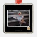Search for ram ornaments I can has cheezburger