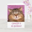 Search for boring cards Cat