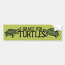 Search for i brake for turtles bumper stickers Cute