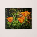 Recherche de pavots puzzles Pour tous