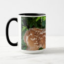 Search for deer portrait mugs Wildlife