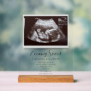 Search for coming soon posters Sonogram