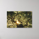 Recherche de rayons impressions sur toile Arbre