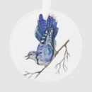 Search for blue jay ornaments Watercolor