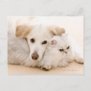 Search for affectionate postcards Horizontal