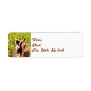 Search for crazy return address labels Farm