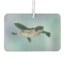 Search for sea turtle car air fresheners Green