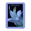 Search for friendship magnets Besties