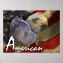 Search for american eagle flag posters Bald