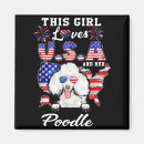 Search for freedom tower magnets America