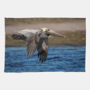 Recherche de vol cuisine linges Nature