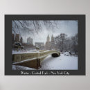 Search for central park winter posters New york city