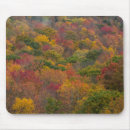 Search for hardwood mousepads Fall