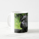 Recherche de staffie tasses Terrier