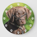 Search for chocolate lab art Pet