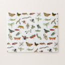 Recherche de insect puzzles Nature