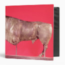 Recherche de klaxons bureau fournitures Taureau