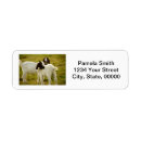 Search for goat return address labels Cute