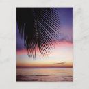 Search for palm beach postcards Atlantic ocean