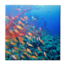 Search for coral reef tiles Fish