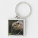 Search for northwest keychains Usa