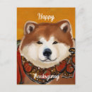 Search for akitas postcards Aktia