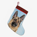Recherche de allemand chaussette de noël Chiot